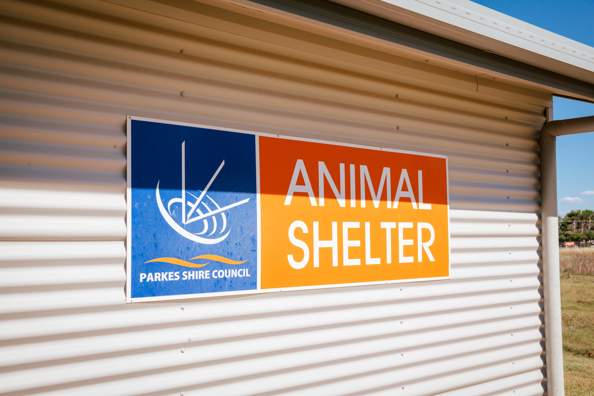 Animal-Shelter.jpg