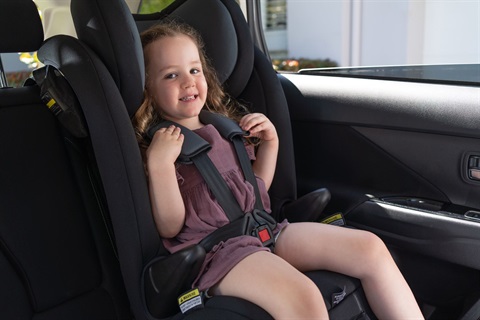 Child Restraint Checks - May 2025.jpg