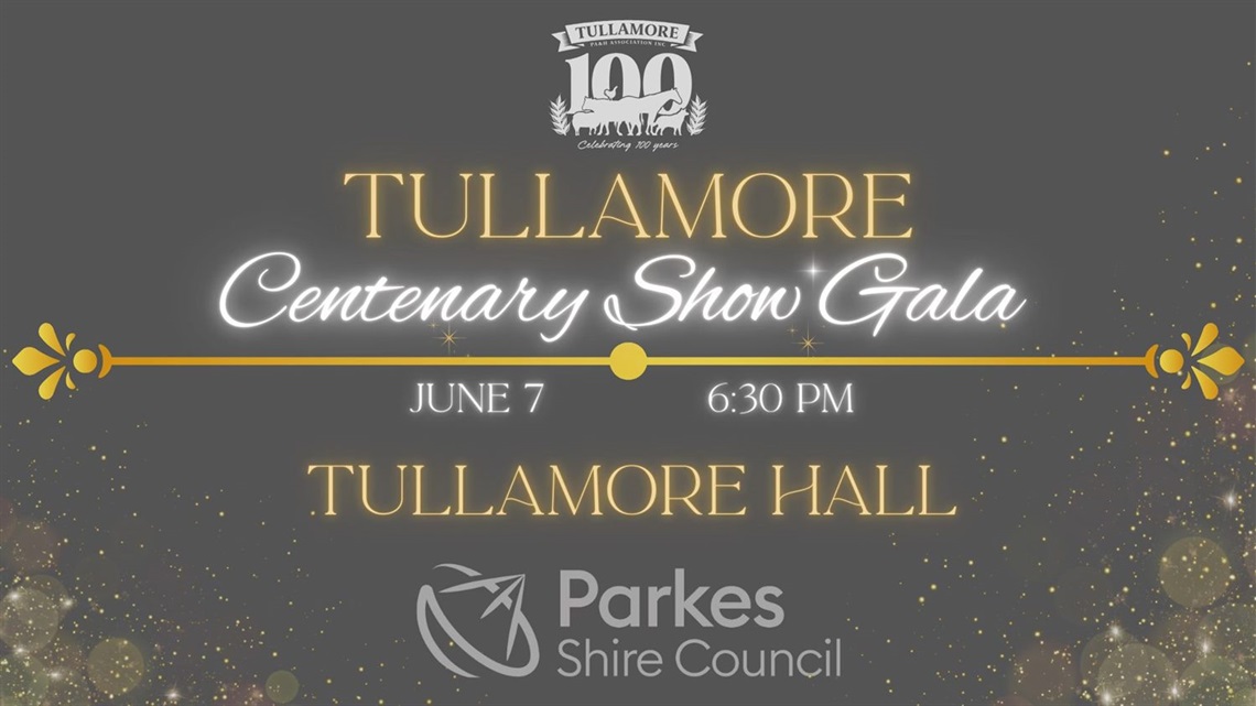 SOCIAL TILE _ TULLAMORE SHOW BALL.jpg