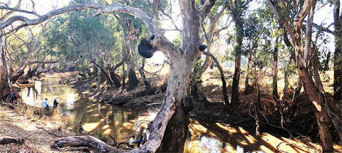 Bogan-River-Bulgandramine-photo_cropped.png